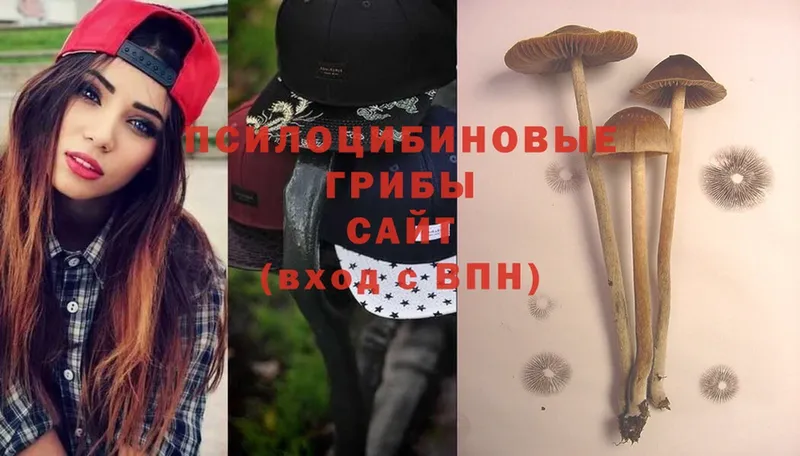 Псилоцибиновые грибы MAGIC MUSHROOMS  Печора 